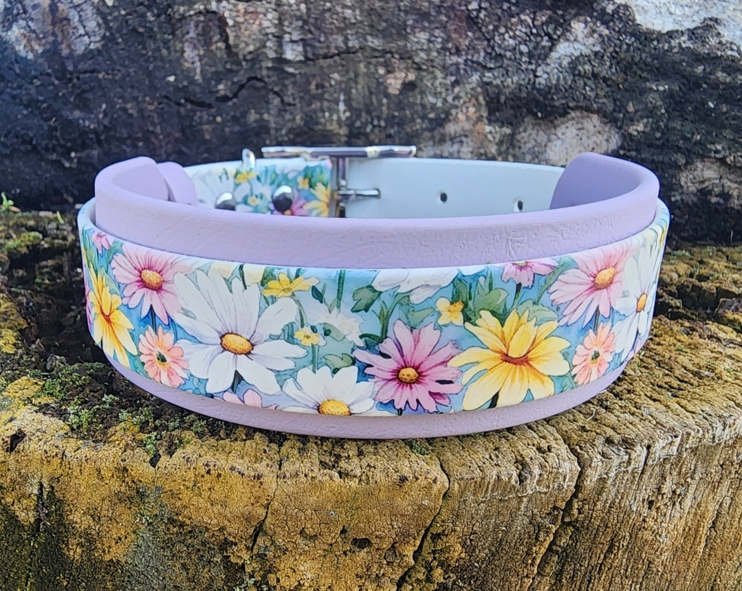 UV Printed Collars