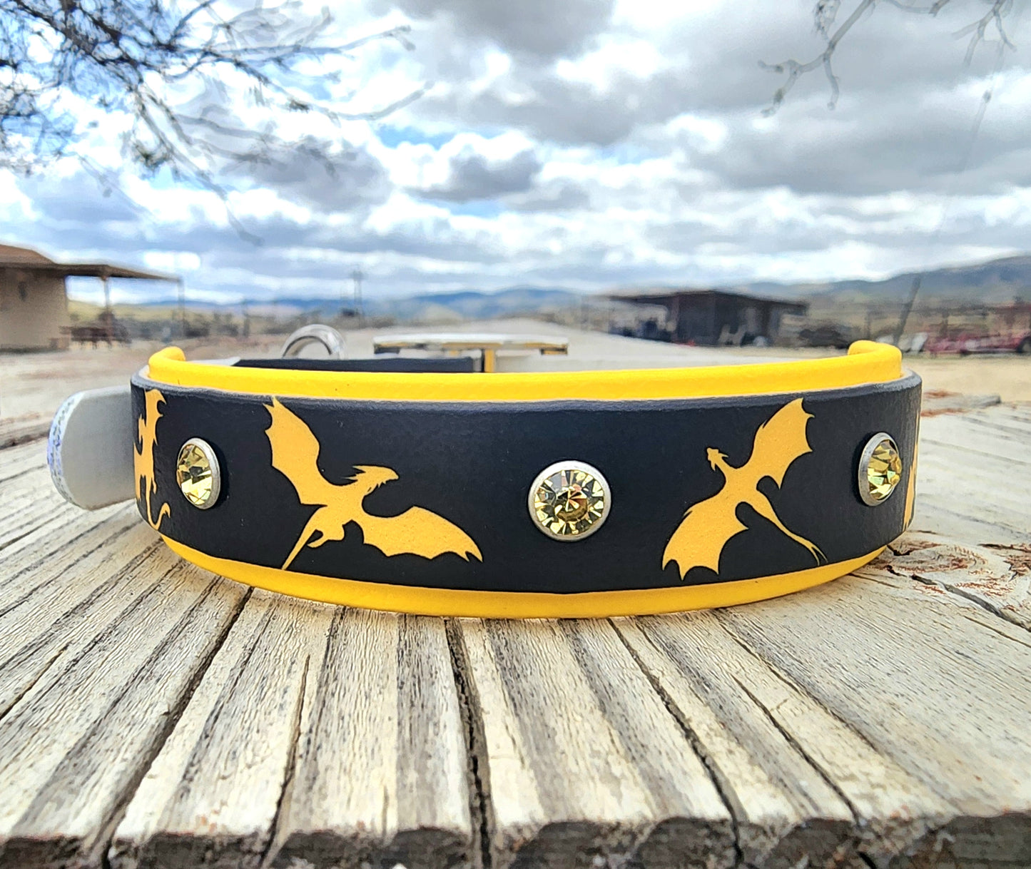 Dragon Dog Collar
