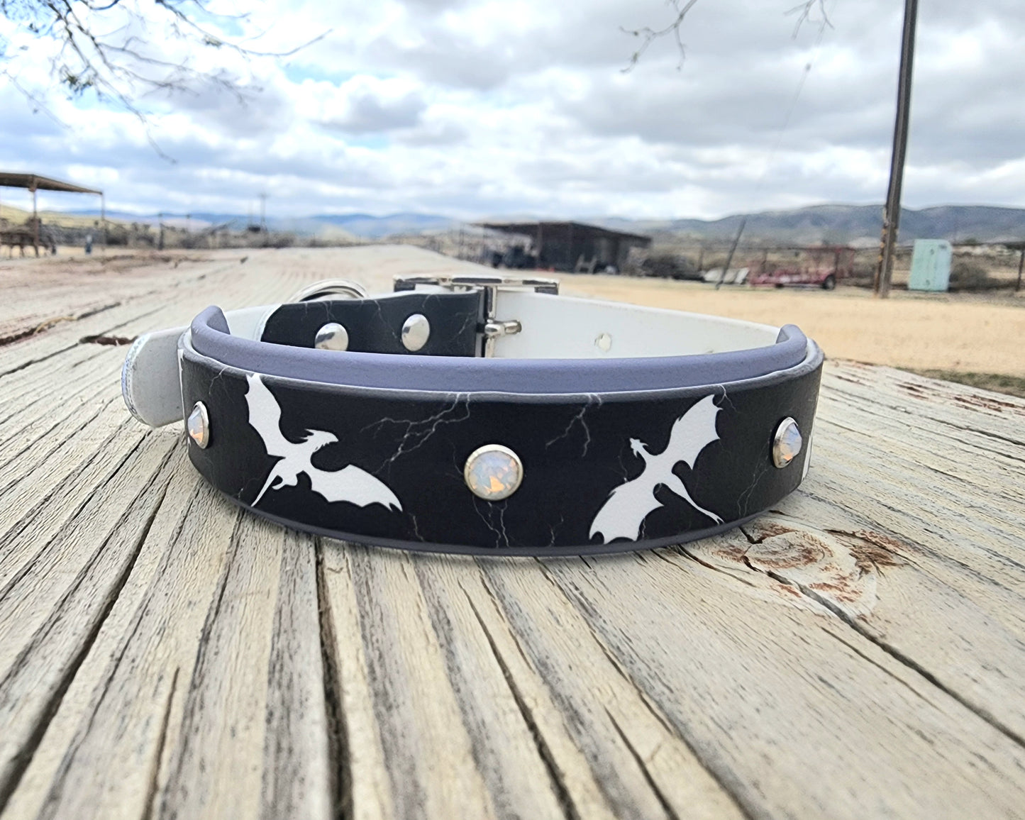 Dragon Dog Collar