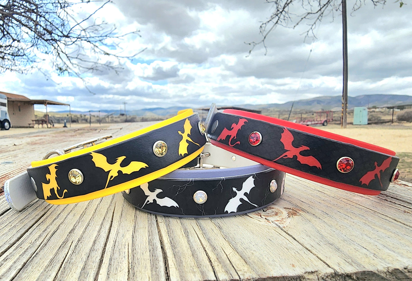 Dragon Dog Collar