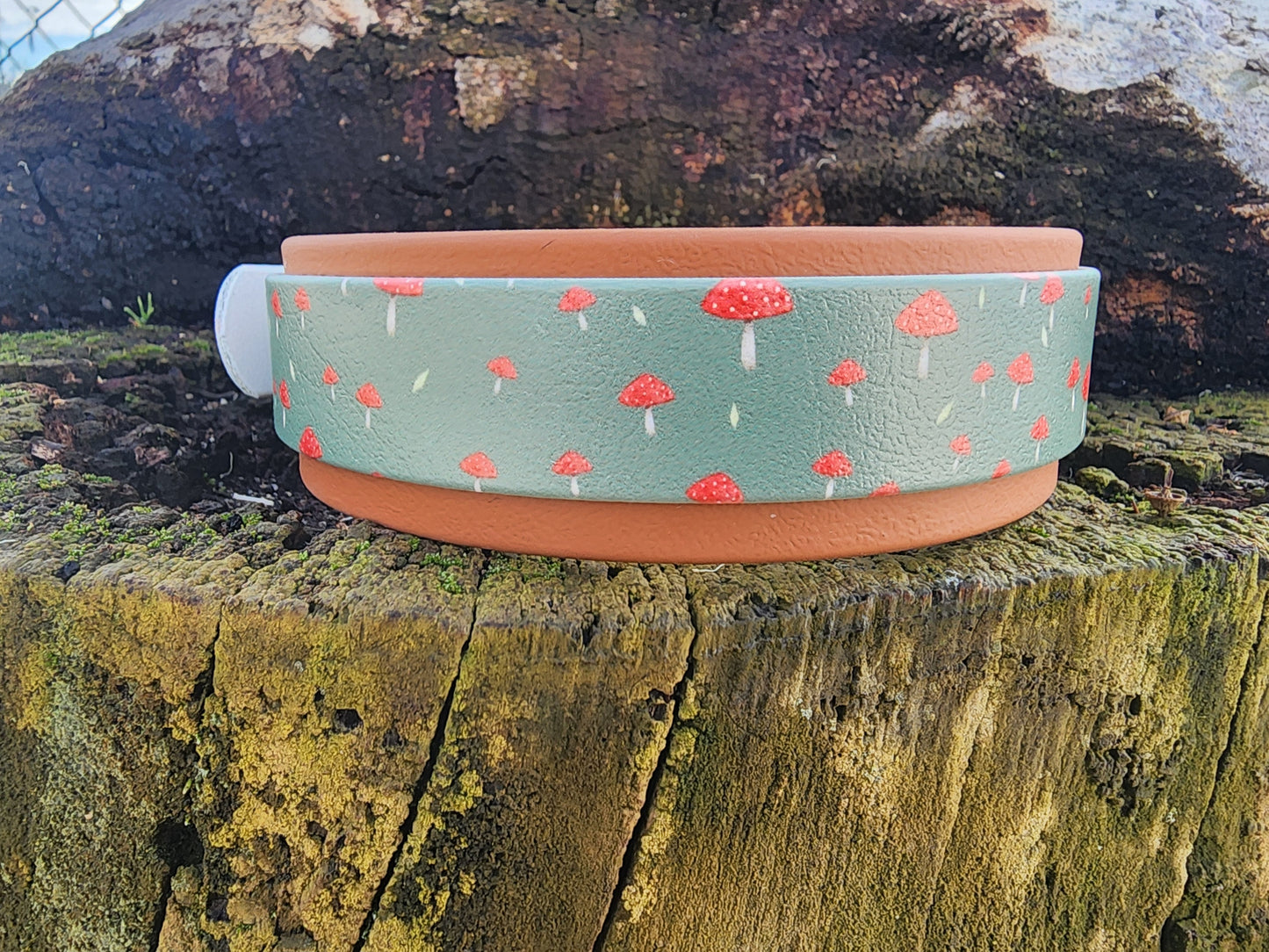 UV Printed Collars