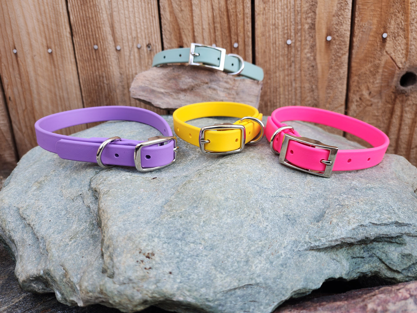 Solid Dog Collar 3/4"