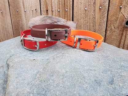 Solid Dog Collar 3/4"