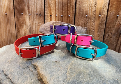 Solid Dog Collar 3/4"