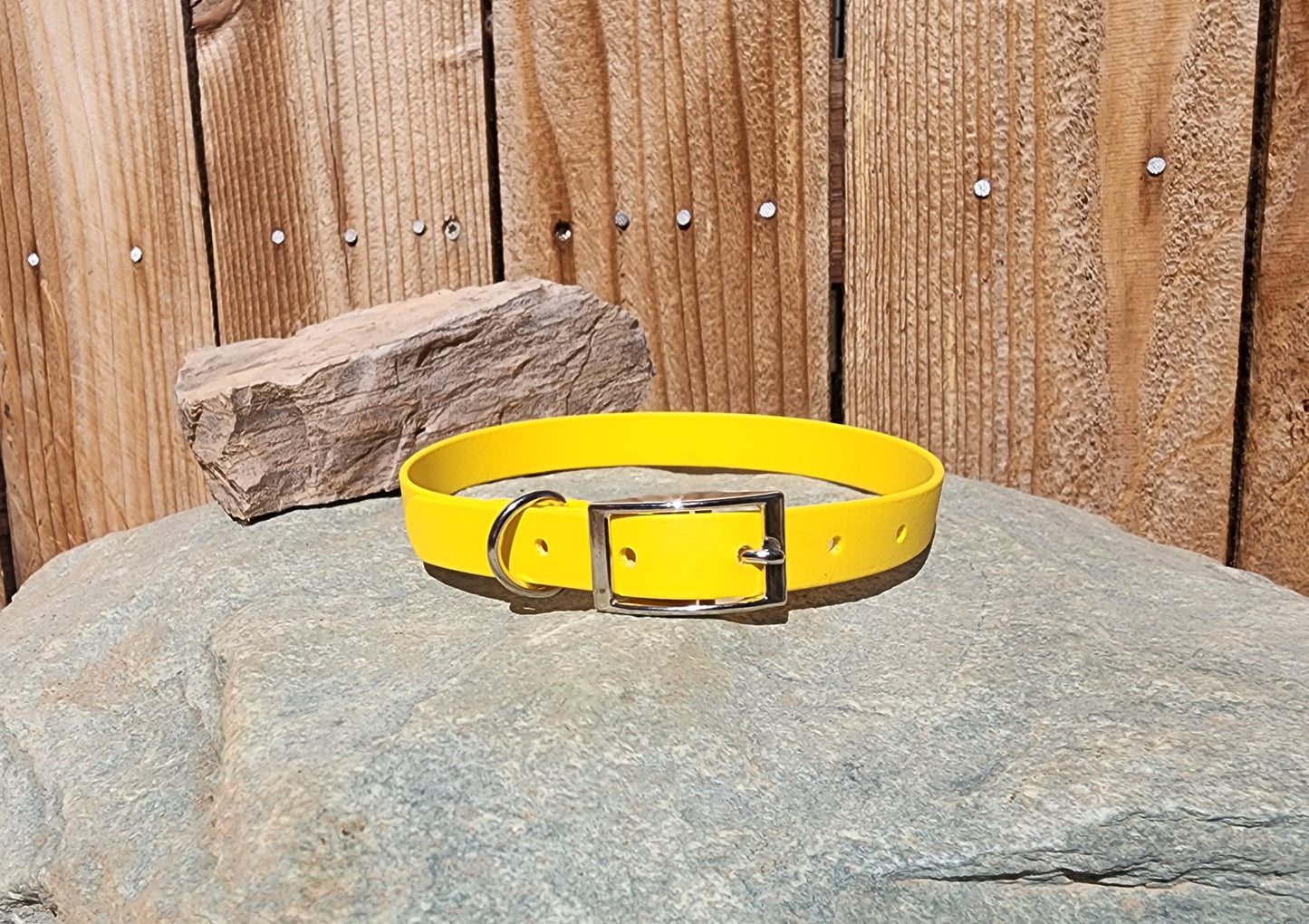 Solid Dog Collar 3/4"