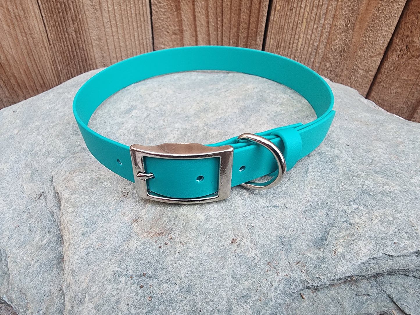 Solid Dog Collar 1"