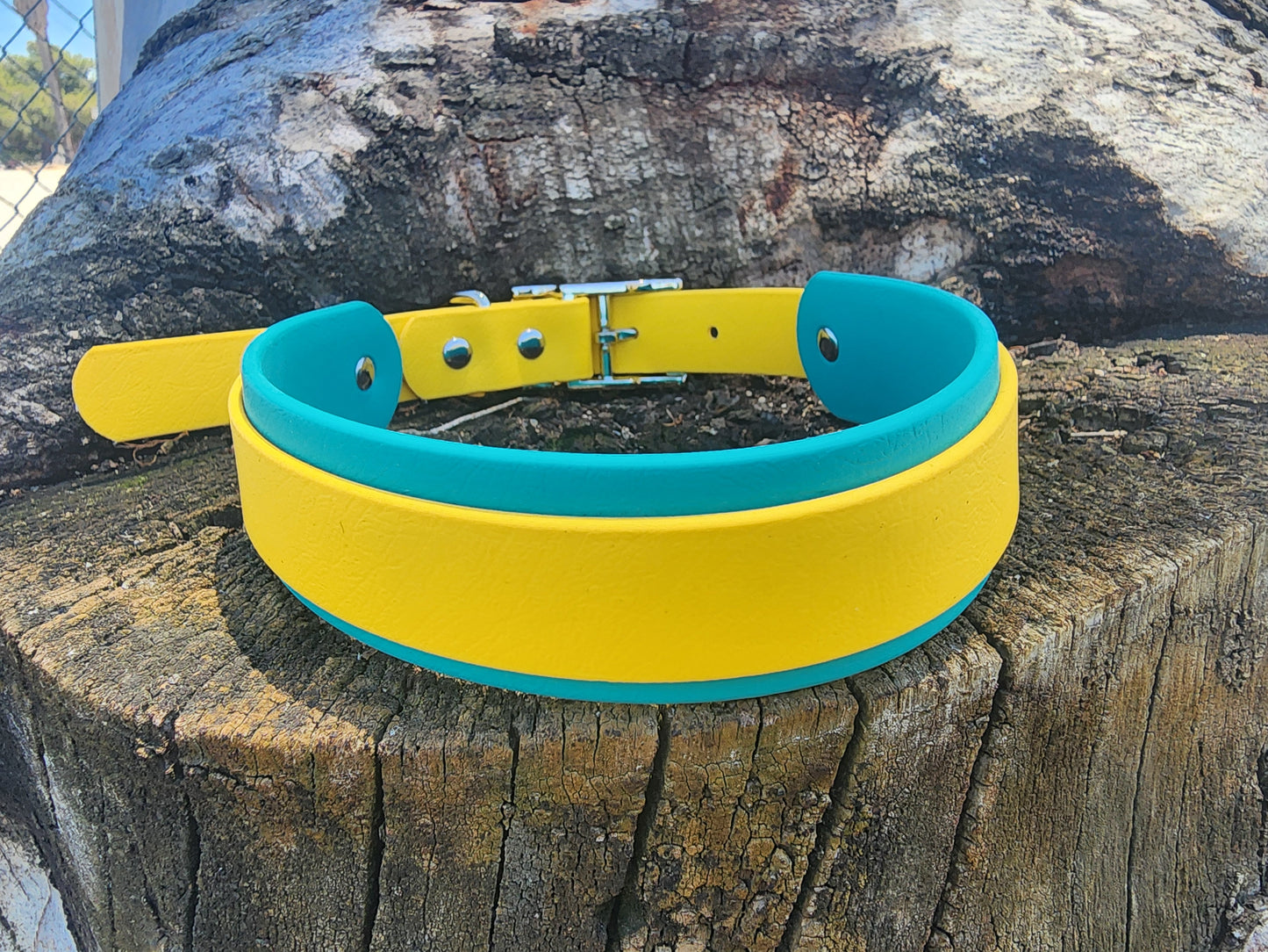 Overlay Dog Collar