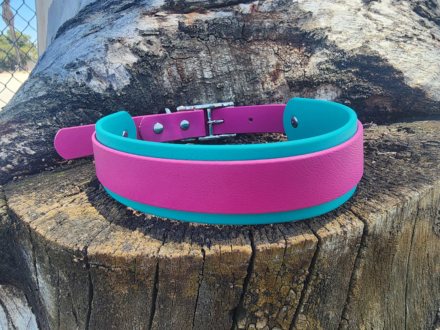 Overlay Dog Collar