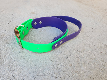 Handle Dog Collar