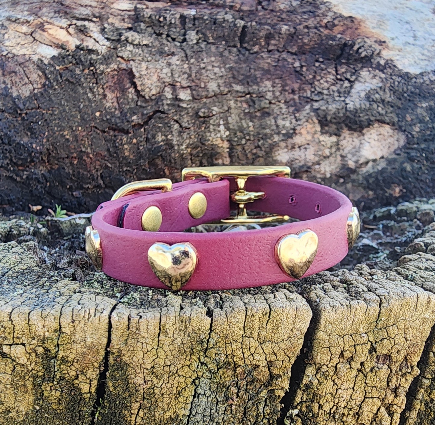 Heart Dog Collar