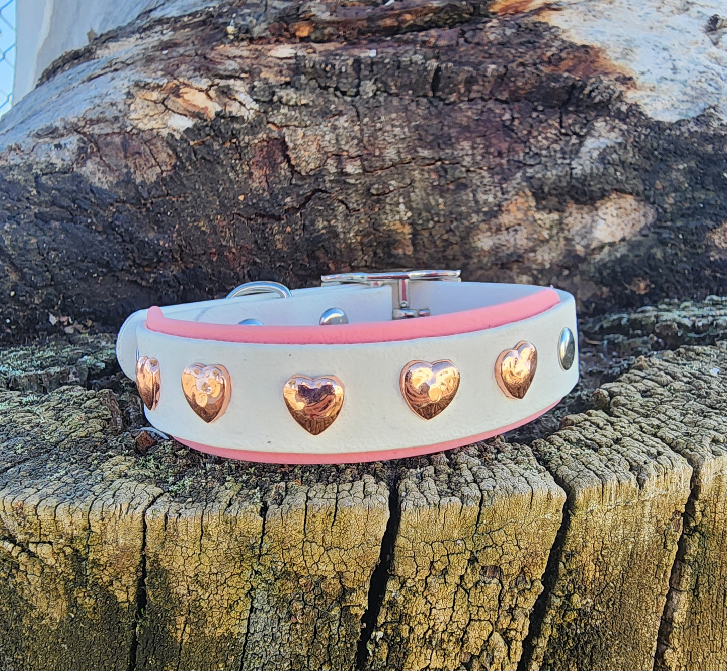 Heart Dog Collar