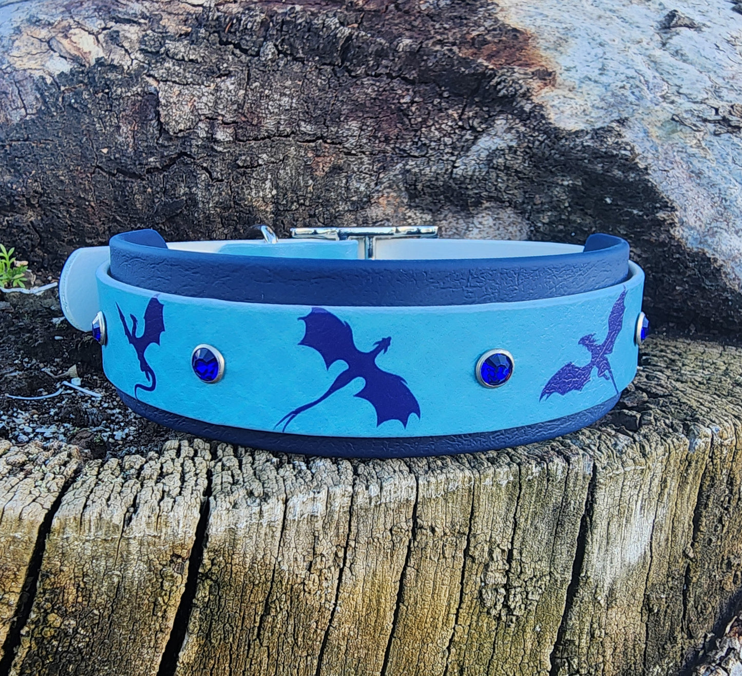 Dragon Dog Collar