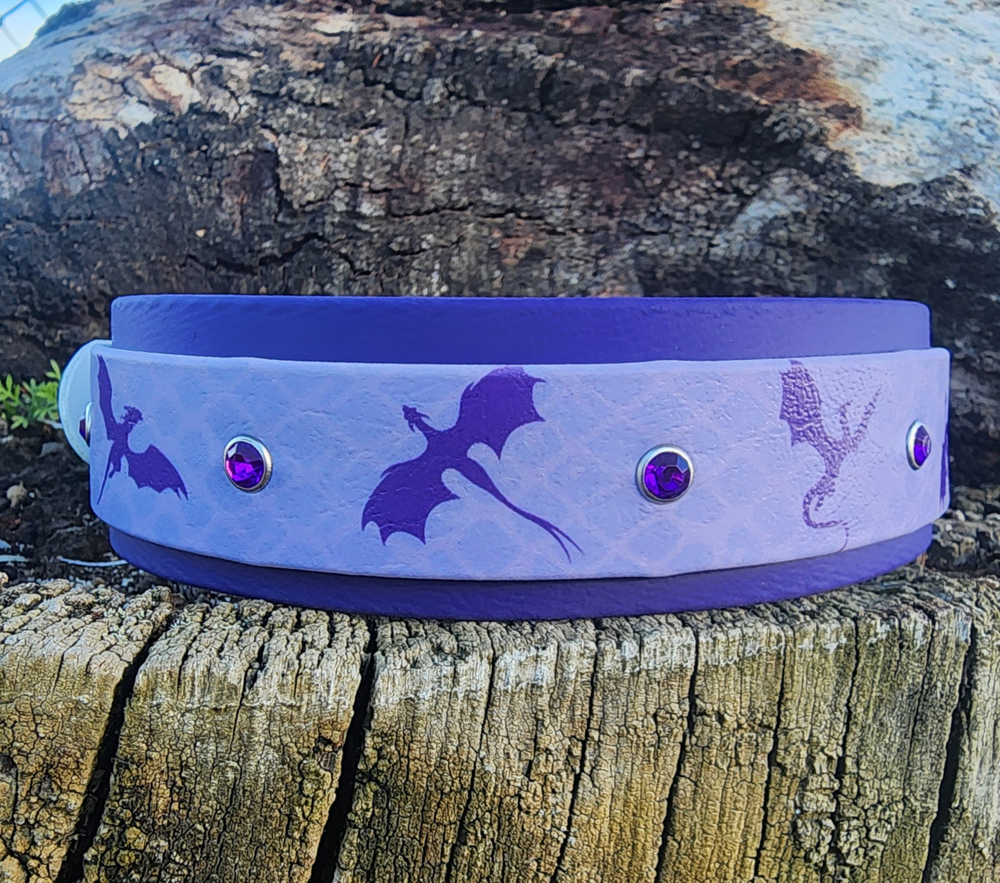 Dragon Dog Collar