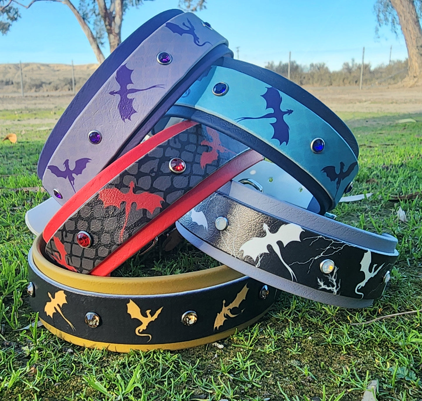 Dragon Dog Collar