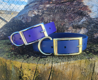 Solid Dog Collar 1"