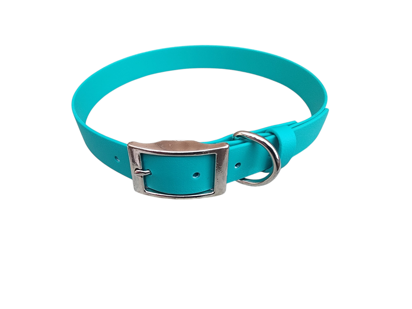 Solid Dog Collar 1"