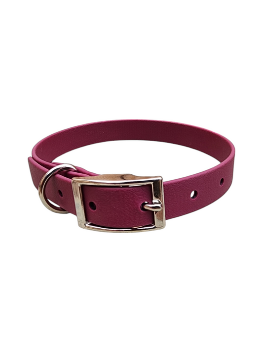 Solid Dog Collar 3/4"