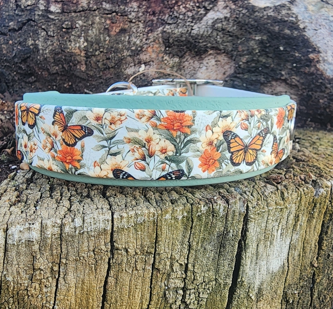 UV Printed Collars