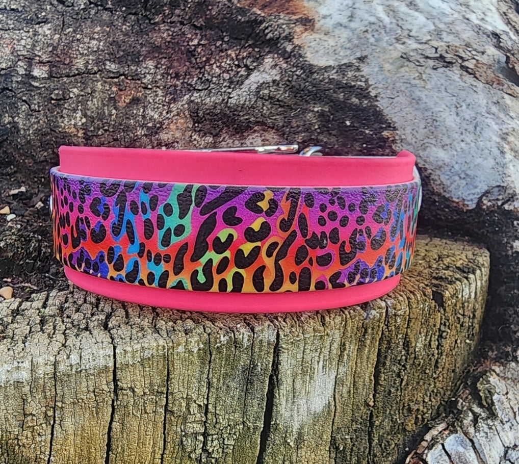 UV Printed Collars