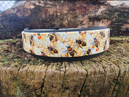 UV Printed Collars