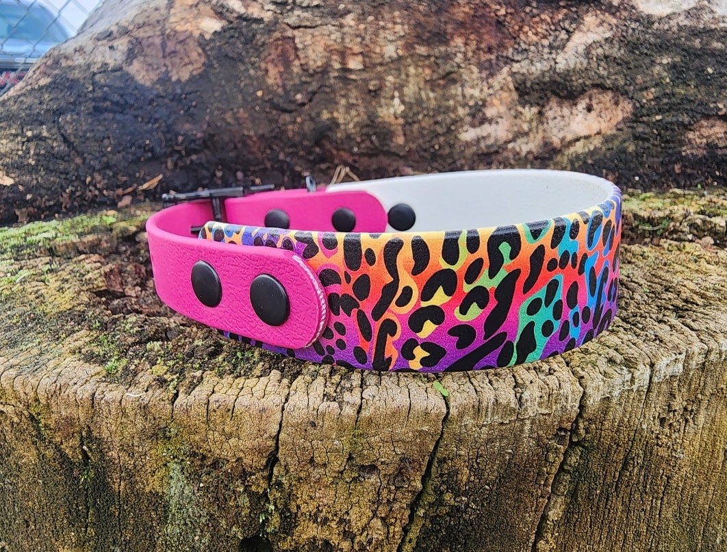 UV Printed Collars