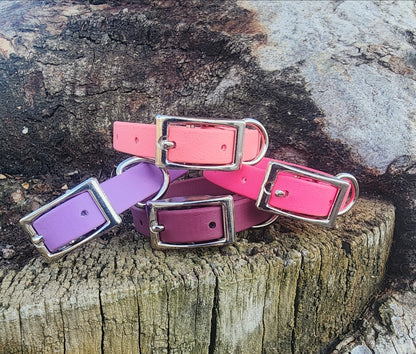 Solid Dog Collar 1/2"