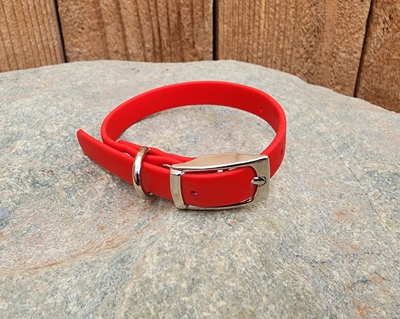 Solid Dog Collar 1/2"