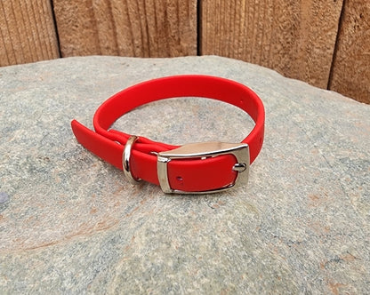 Solid Dog Collar 1/2"