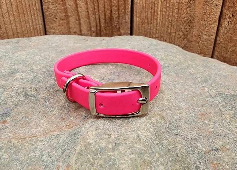 Solid Dog Collar 1/2"