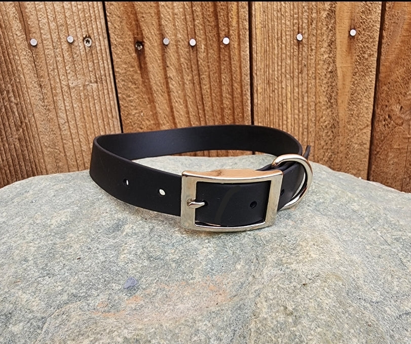 Solid Dog Collar 1"