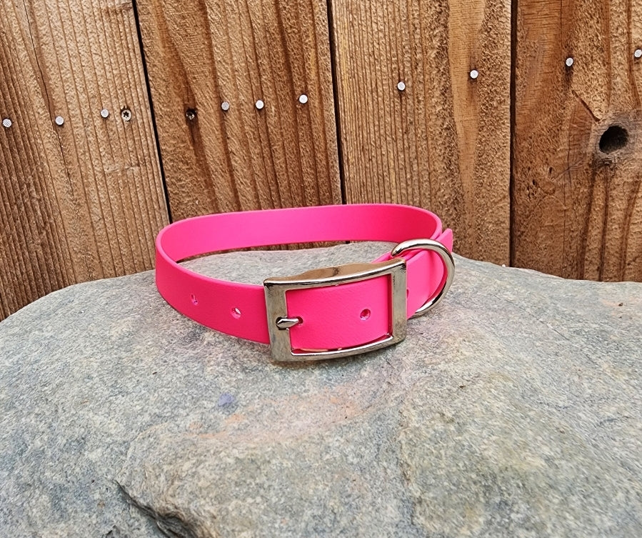 Solid Dog Collar 1"