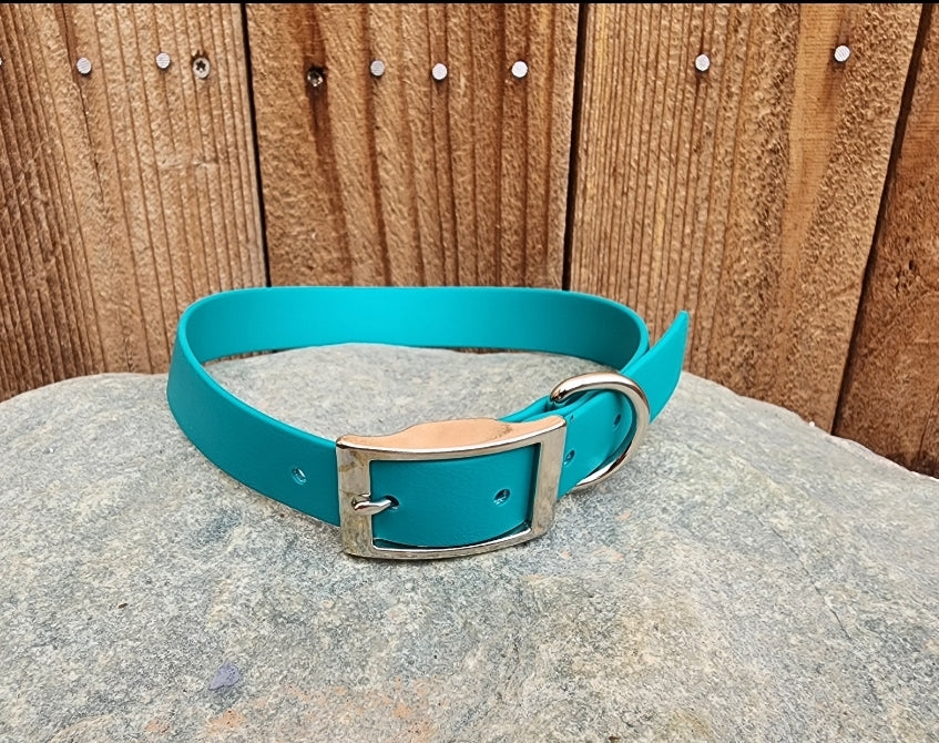 Solid Dog Collar 1"