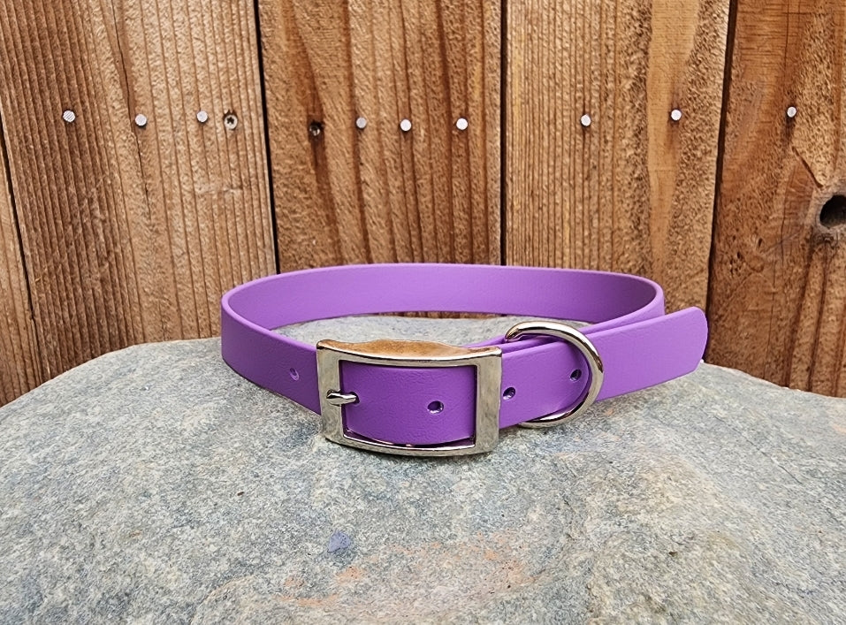 Solid Dog Collar 1"