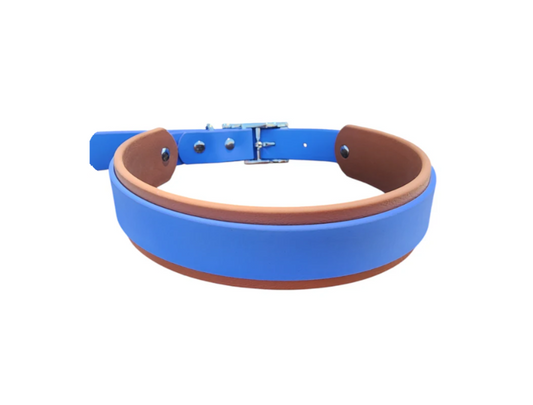 Overlay Dog Collar