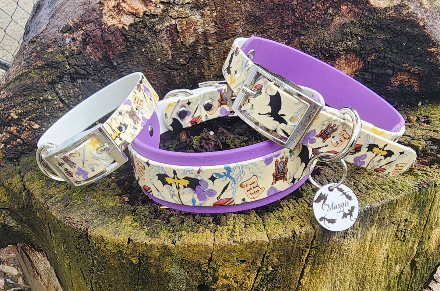 Bookish Dog Collar