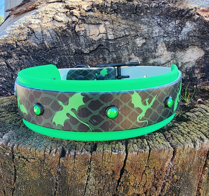 Dragon Dog Collar