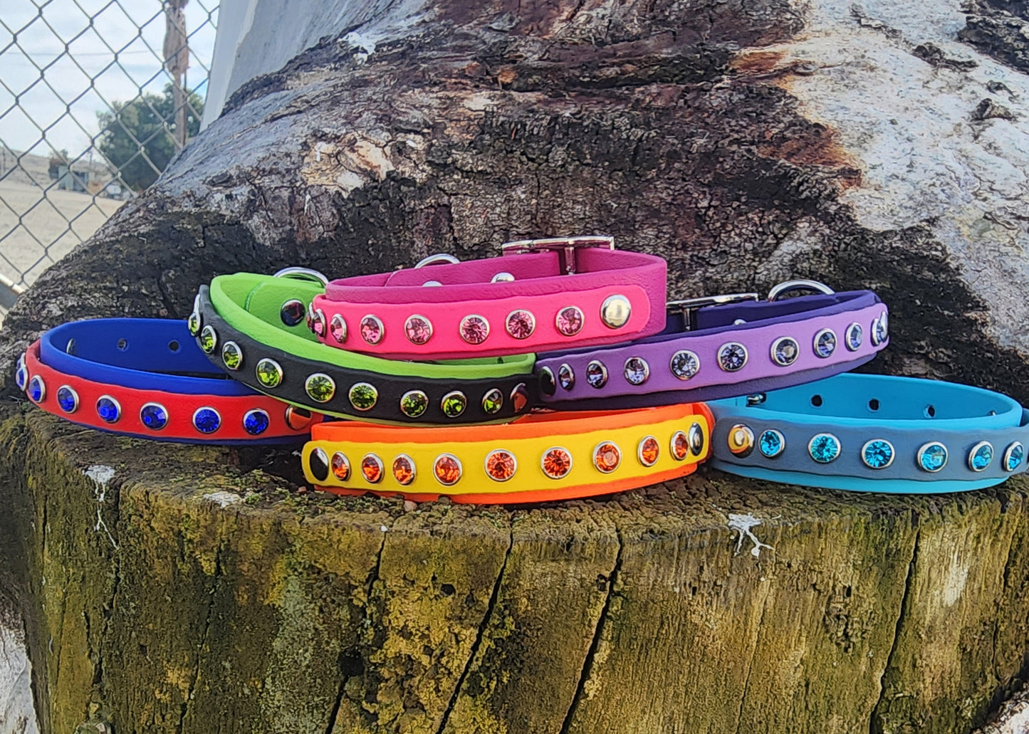 Small Bling Dog Collar