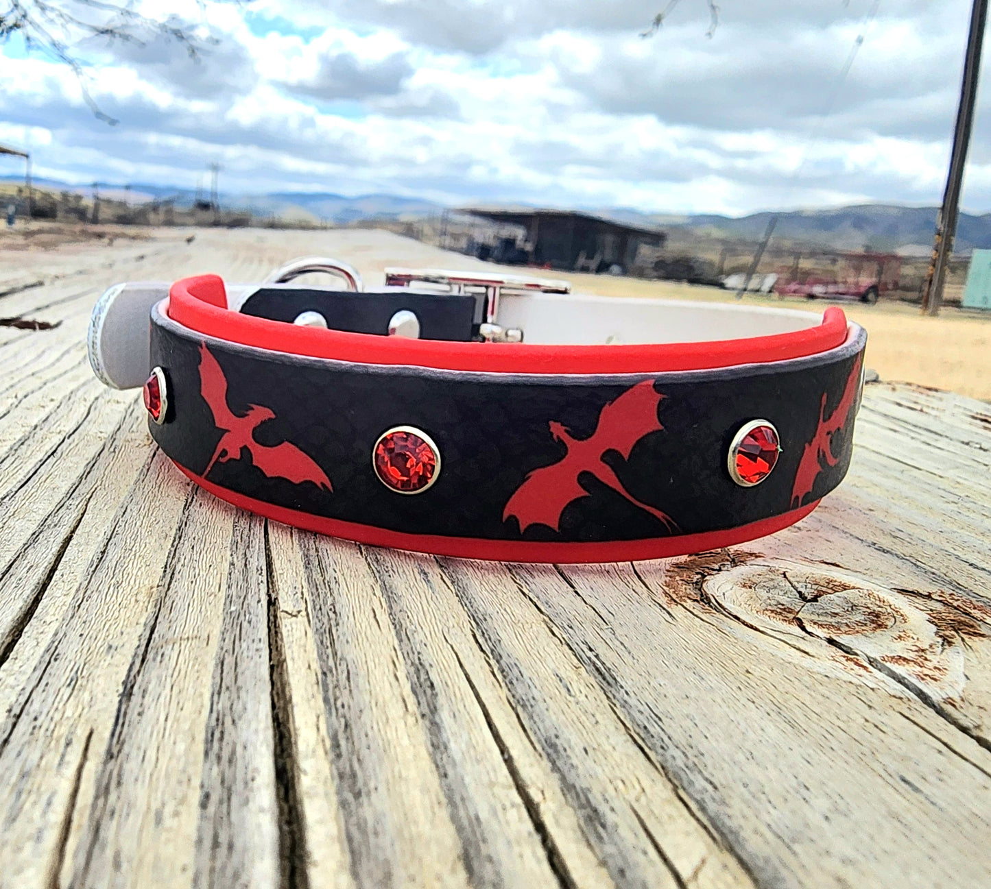 Dragon Dog Collar