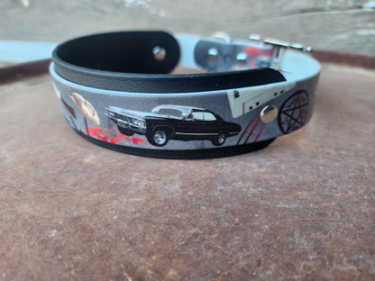 Fandom Inspired Dog Collar