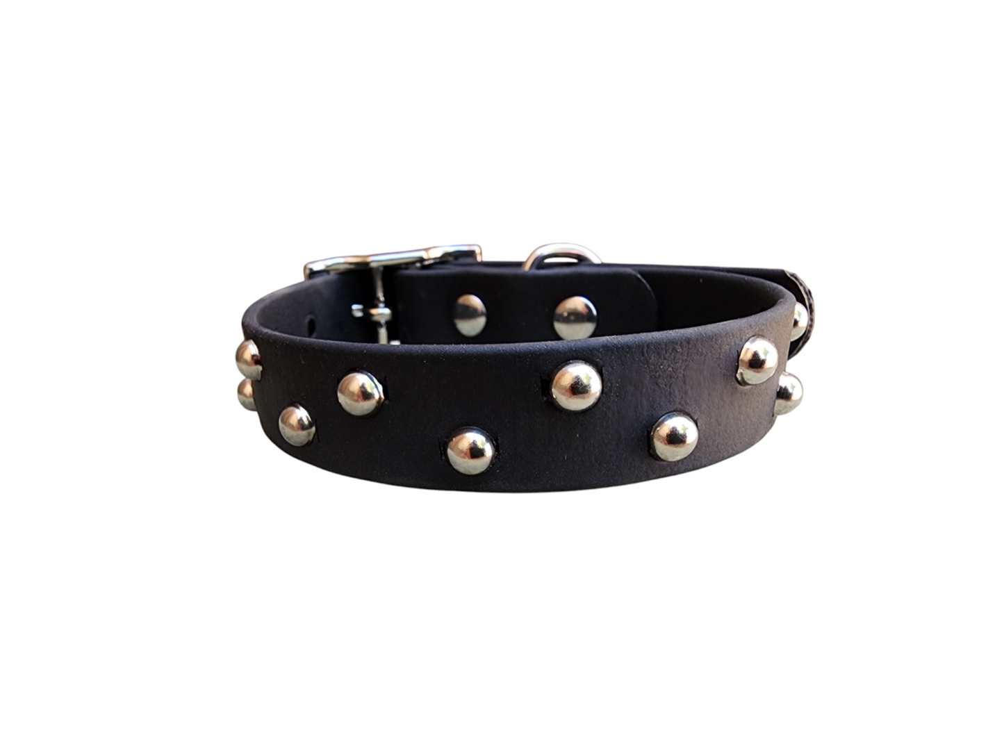 Studded Collar